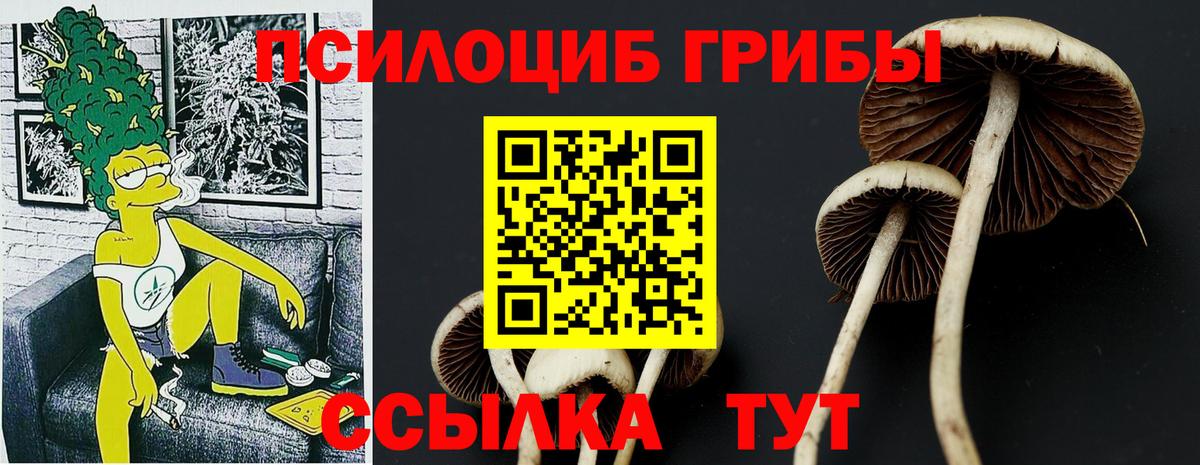 Галлюциногенные грибы мухоморы Балтийск